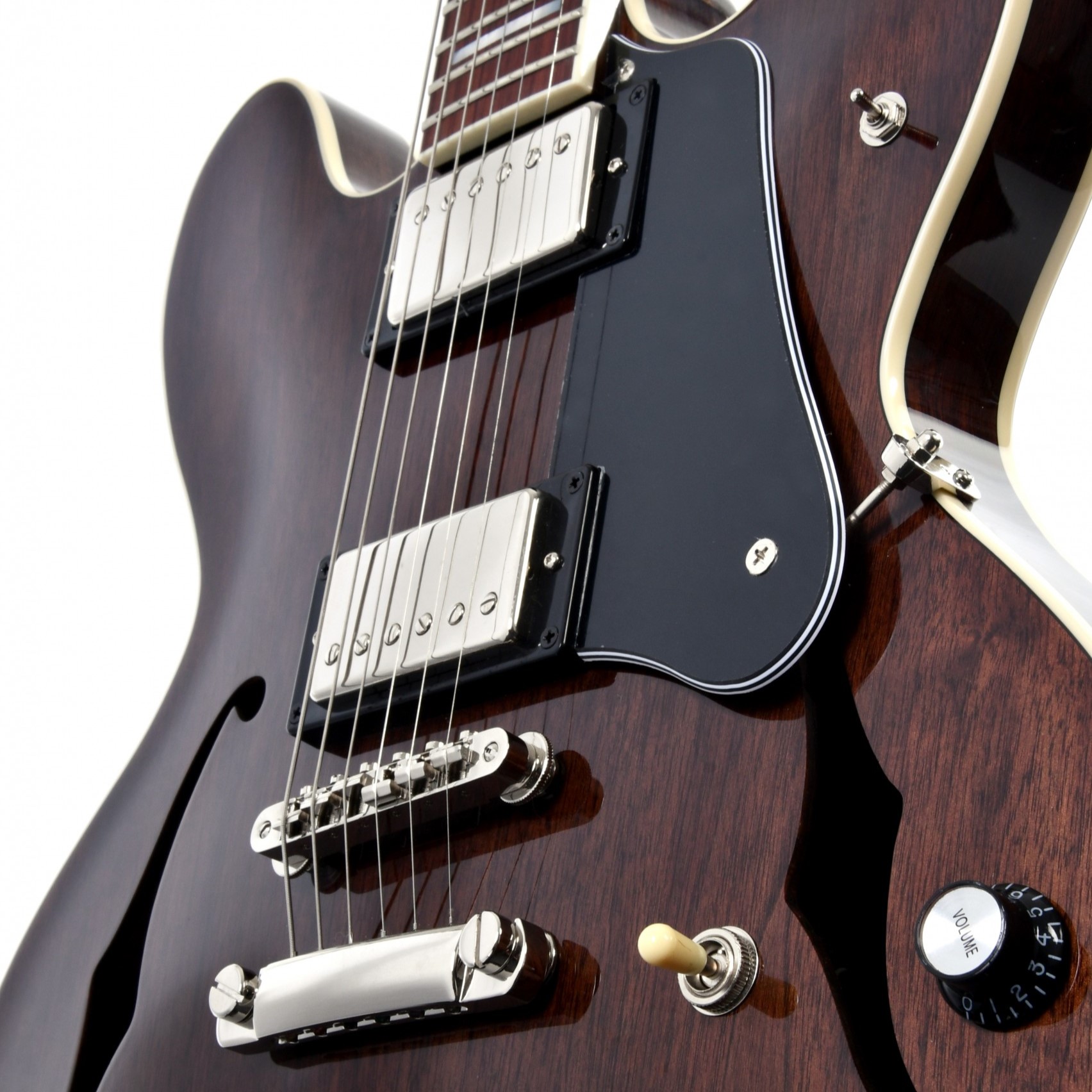 Чому гітаристи обирають напівакустичні електрогітари?